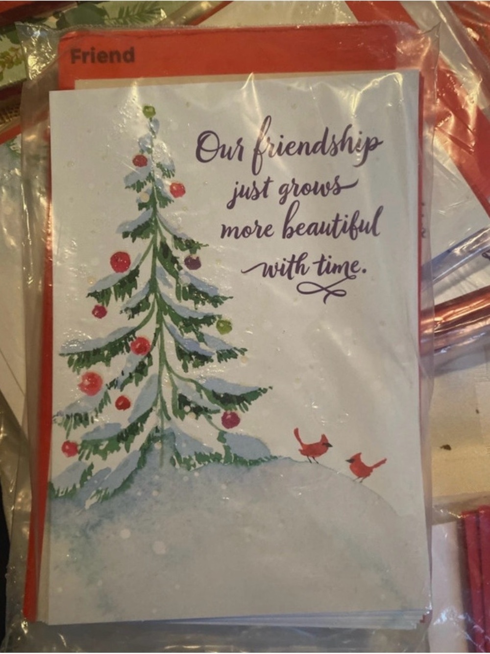 FRIENDS Red, Green & White Holiday Card - Our Friendship Sentiment
